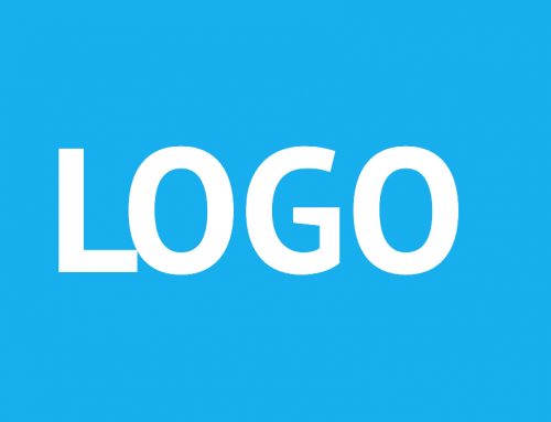 portfolio twelve