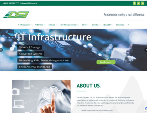 DSI Ltd website